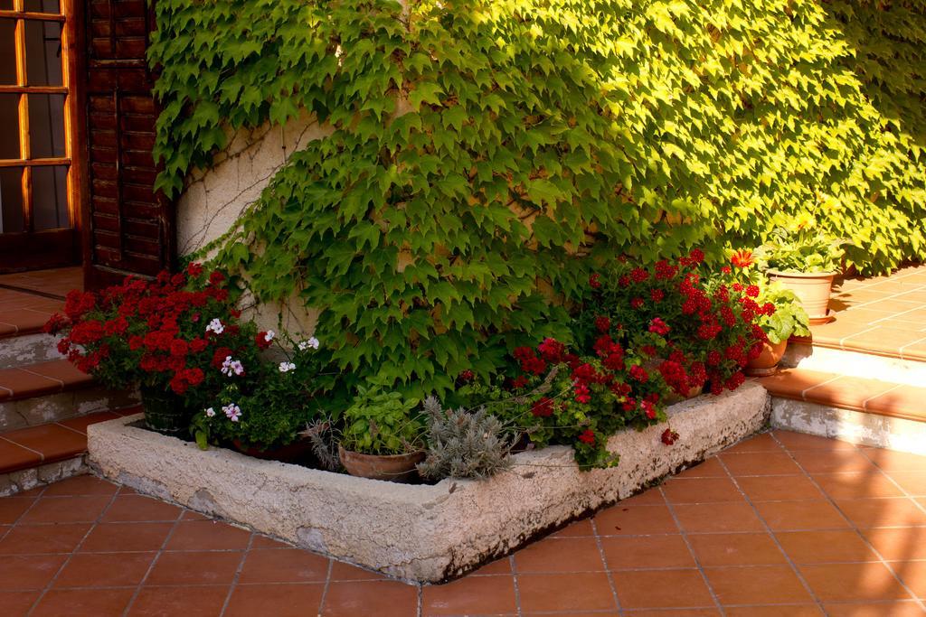 ריאלמונטה Casa Del Falso Pepe - Scala Dei Turchi מראה חיצוני תמונה