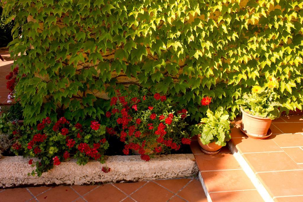 ריאלמונטה Casa Del Falso Pepe - Scala Dei Turchi מראה חיצוני תמונה
